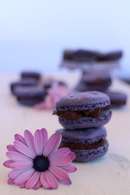 macarons-de-violetas