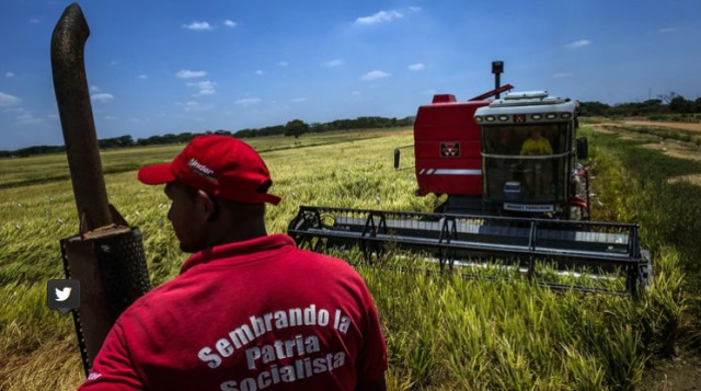 VENEZUELA: La muestra de que los venezolanos están comiendo menos es el descenso en las ventas de alimentos.