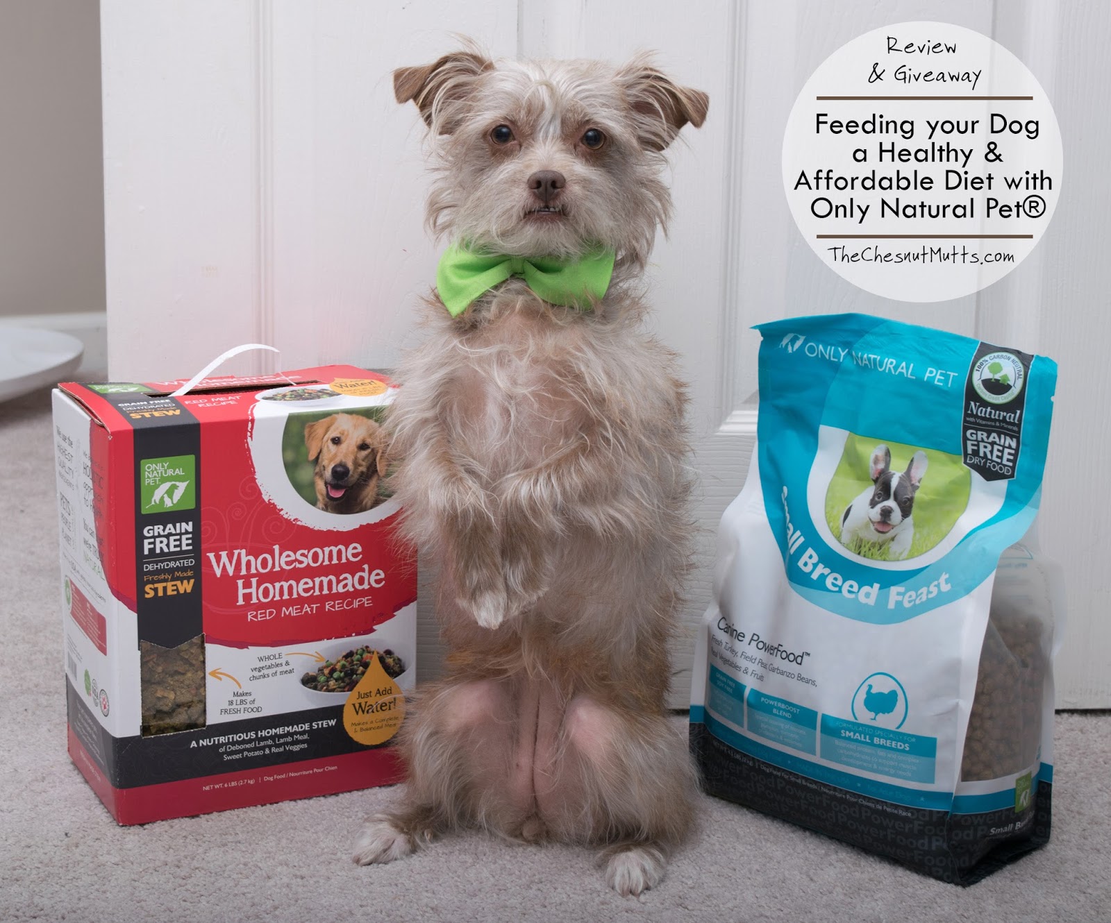 Review & Giveaway: Feeding your Dog a Healthy & Affordable Diet with
