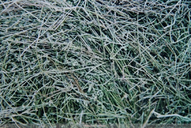clip_image003