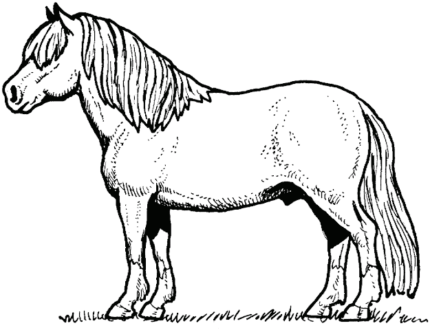 Horse Have Horse Coloring Pages Printable