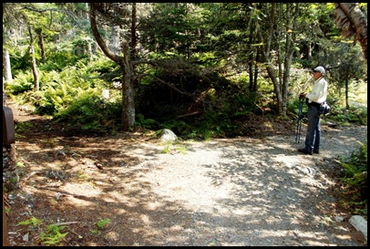 Quoddy Head Light 255