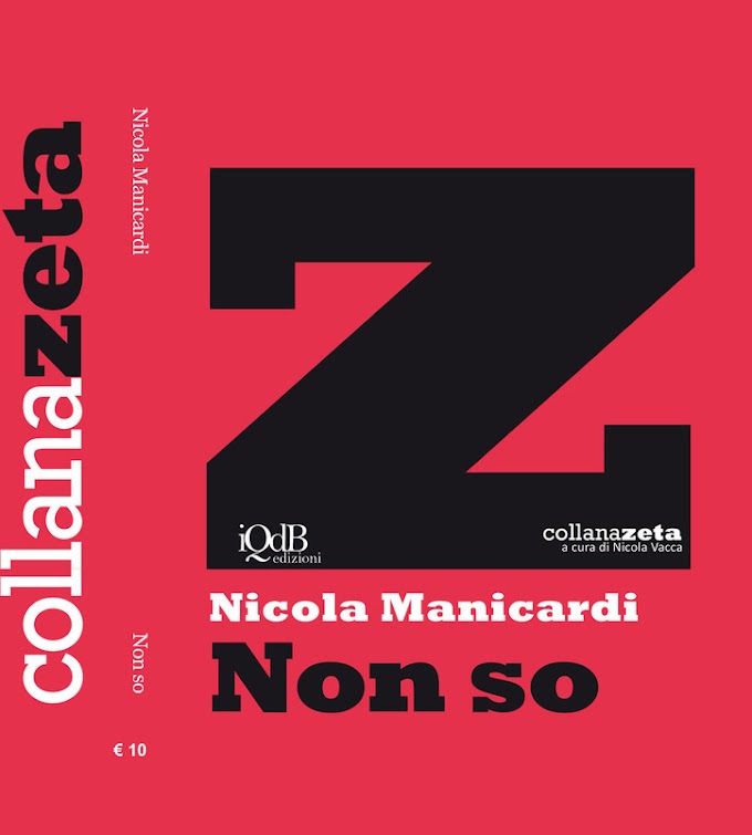 Libri: presentato a Modena 'Non so' di Nicola Manicardi