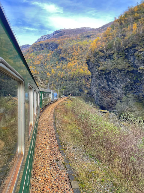 oslo bergen treno panoramico