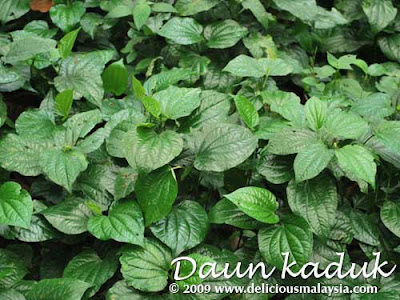 Hanieliza's Cooking: Daun Kaduk dan Daun Sireh