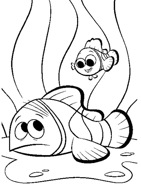  Finding Nemo Pictures To Print And Color Findingnemoc  Findingnemoc Findingnemoc Findingnemoc Findingnemoc  Findingnemoc