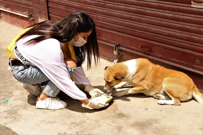 Actress Barsha Siwakoti in Feeding Program Organized by AATMOUTSARGA