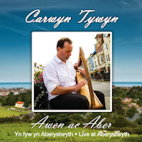 http://www.ebay.co.uk/itm/Carwyn-Tywyn-Awen-ac-Aber-/251384333196?pt=Non_Fiction&hash=item3a87ac838c