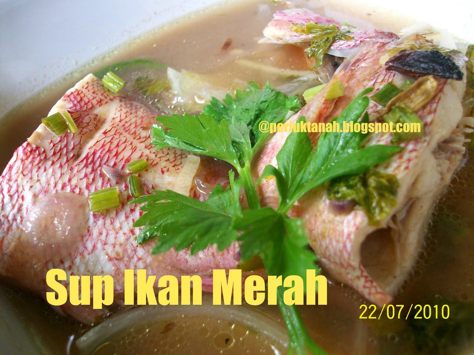 Periuktanah: Sup Ikan Merah untuk sahur.