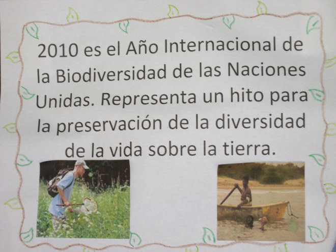 Costa Rica National Curriculum