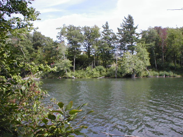 Auger Lake Ny7