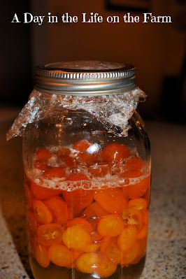 kumquats in syrup