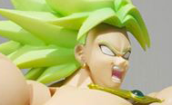 http://dragonballshfiguarts.blogspot.fr/2016/07/sh-figuarts-broly-special-color-edition.html