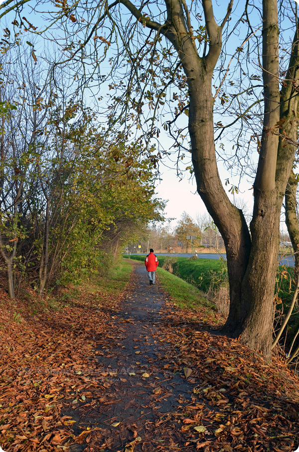 Spaziergang durch Wremen 241113 (8)