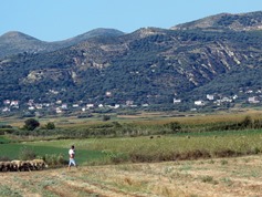 IMG_9072