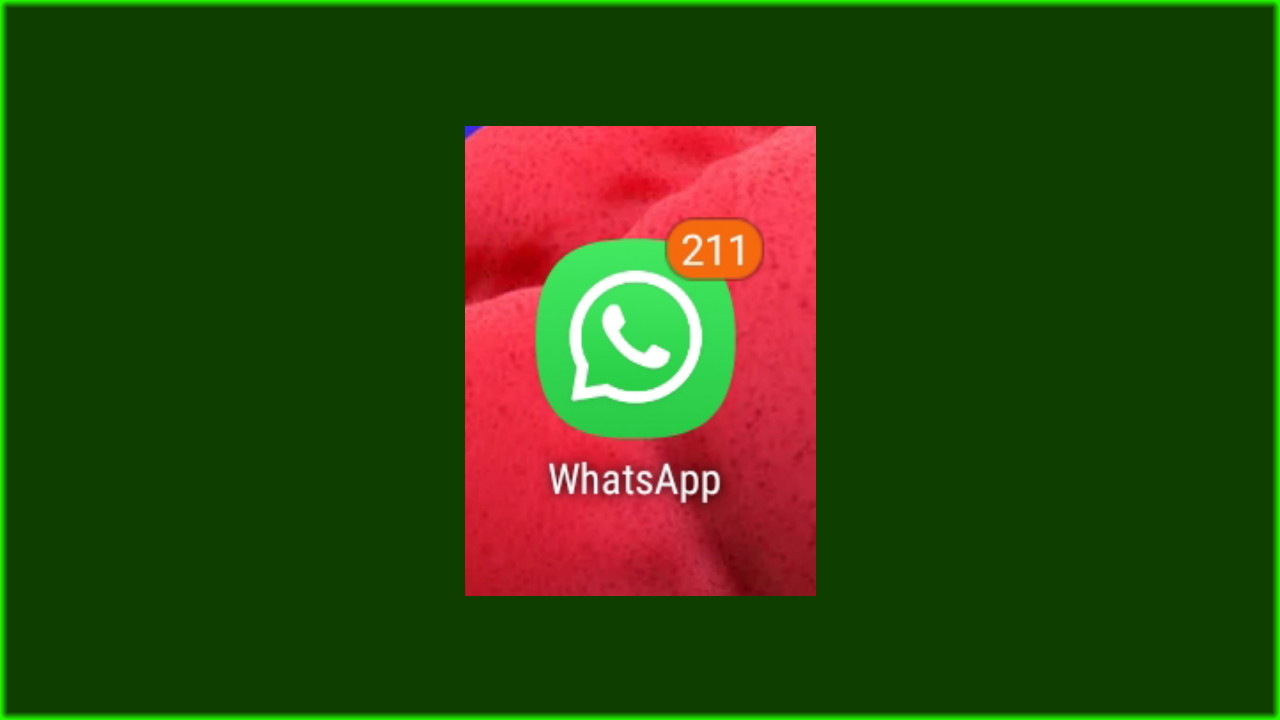 Cara Memakai WhatsApp Tanpa Internet