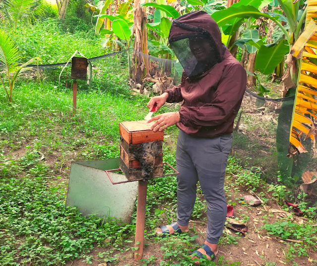 Charles Lance Estocapio’s Beekeeping Venture and Advocacy