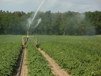 Sprinkler irrigation