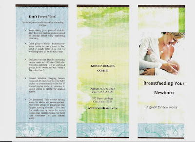  Brochure Design Example 