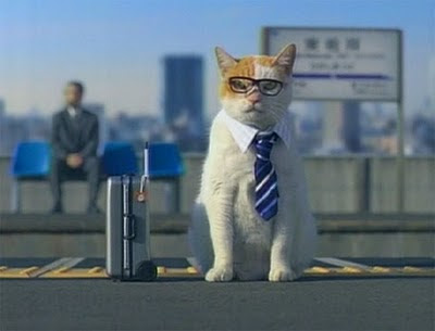 business cat. Pour Myself A Cup Of Ambition
