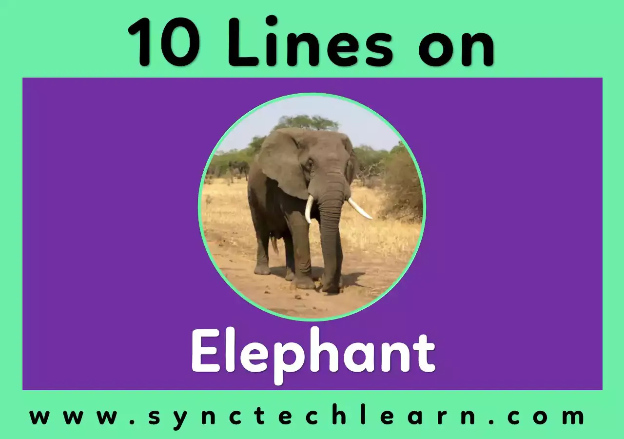 10 Lines On Elephant in English - Short Essay on Elephant