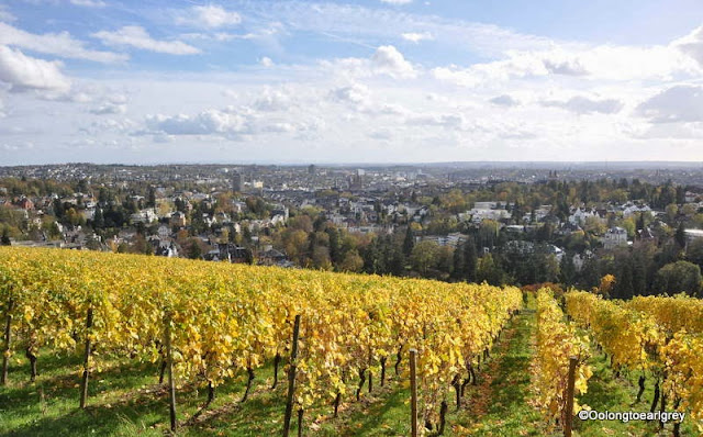 Neroberg Vineyard