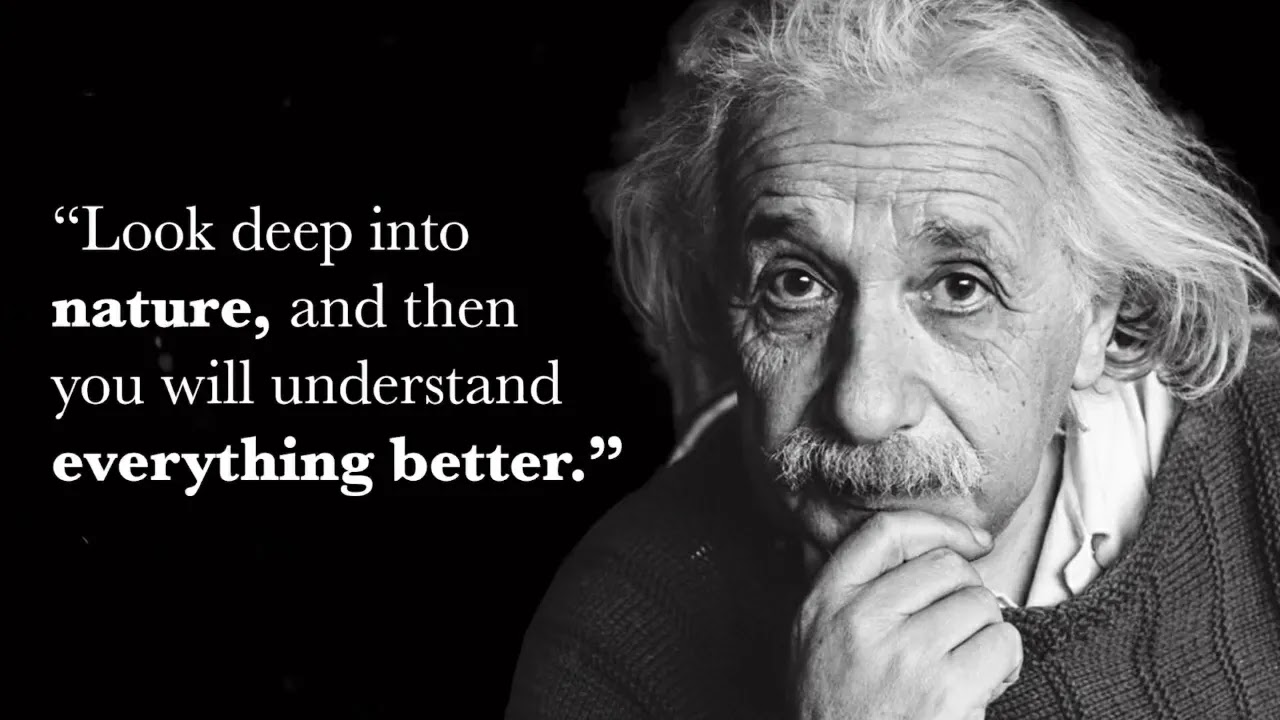 Famous Quote Albert Einstein images