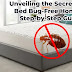  Unveiling the Secrets to a Bed Bug-Free Home: A Step-by-Step Guide