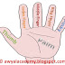 The name of the five fingers of your palm.