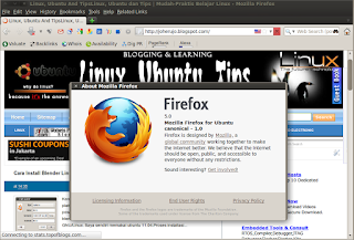 Firefox 5.0