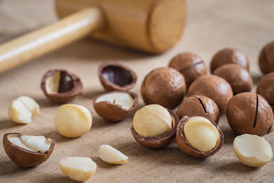 macadamia nuts