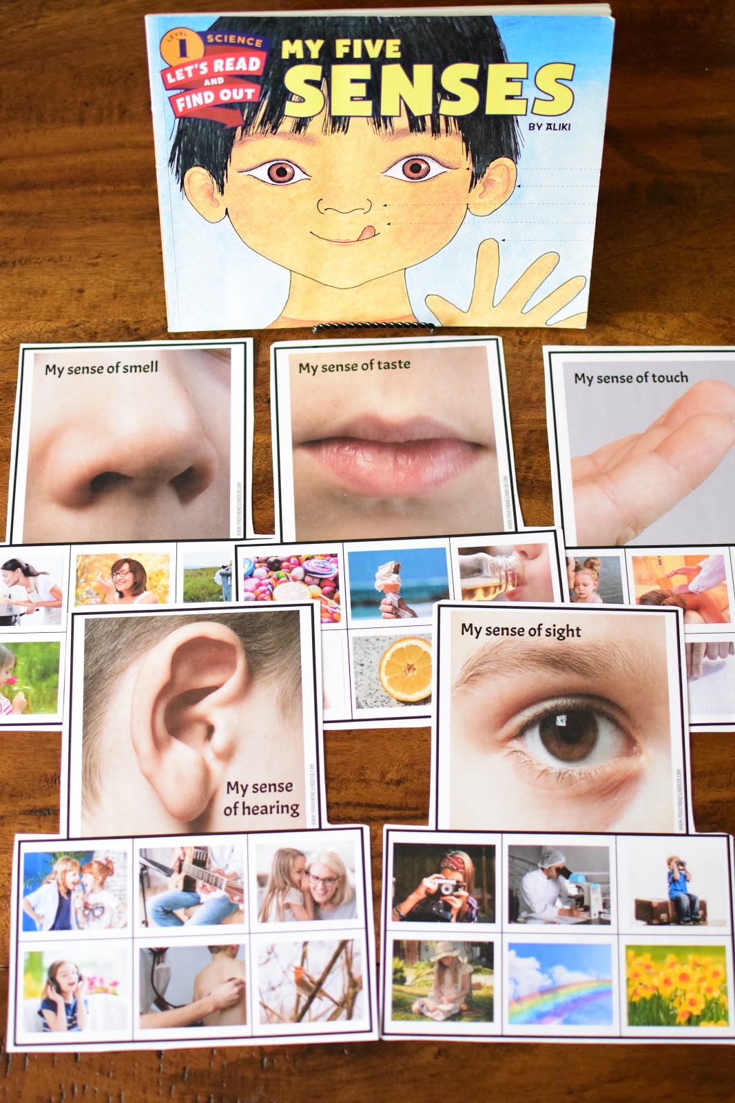 Human Body Preschool Mini Unit: MY 5 SENSES