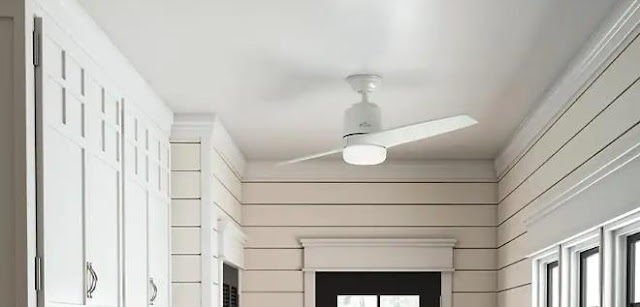 Two-blade ceiling fans