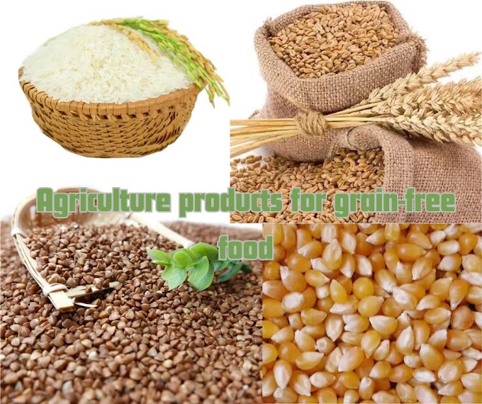 Agriculture products for grain-free food 🌾 🌾 