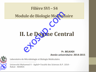 dogme central cours biologie moléculaire SVI5