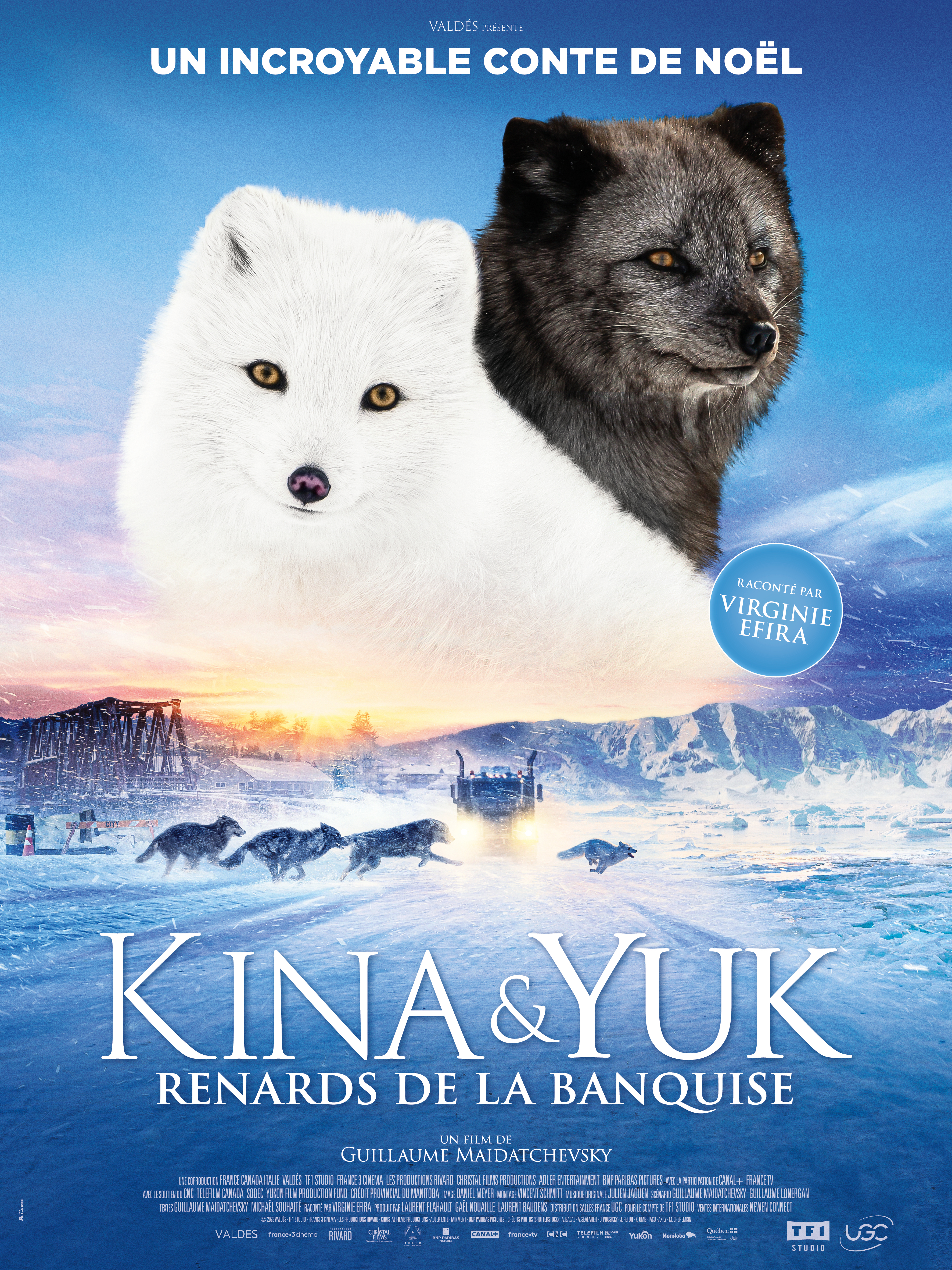 film Kina et Yuk : renards de la banquise