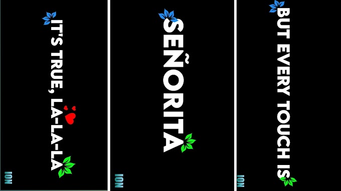 Senorita song status download.