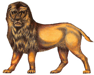 lion animal image antique illustration