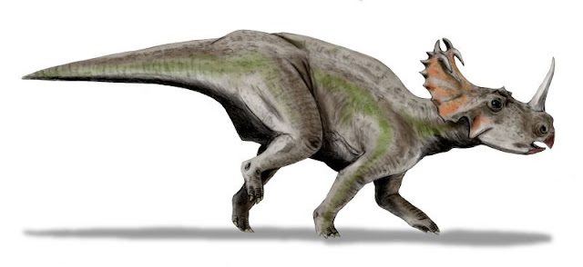 Dinosaur bones are home to microscopic life
