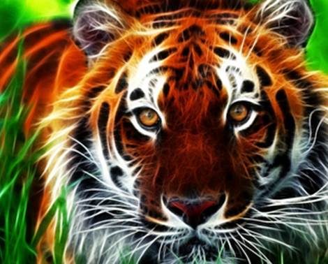 Makna Mimpi Di Dalam Antara Tiger Harimau Buku Tafsiran Mimpi