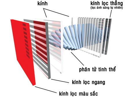 Cấu tạo của màn hình tivi LCD