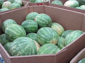 watermelon at Costco