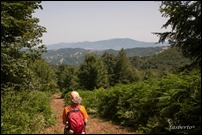 Monte Carpegna