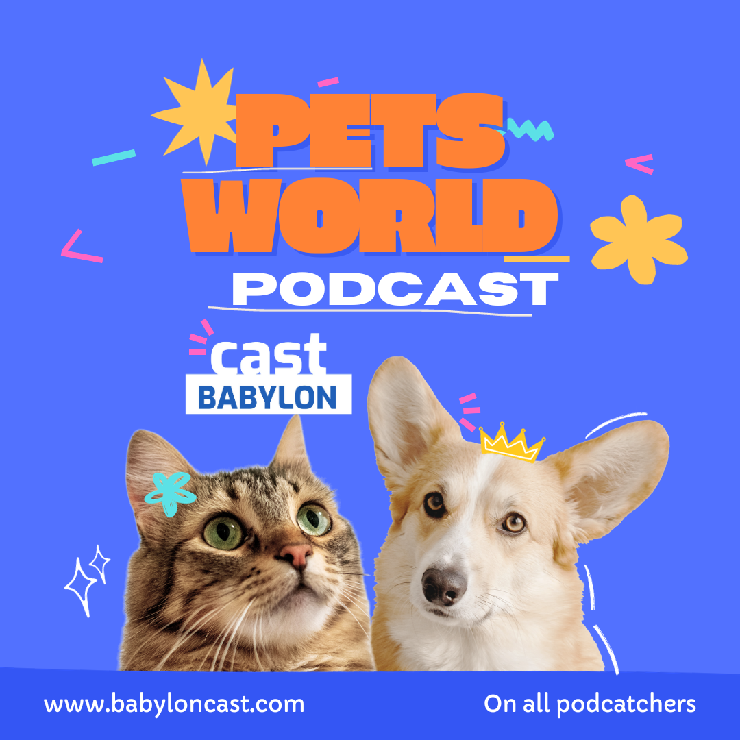  EP11 Pets world | عالم روكي ولولو وديزل