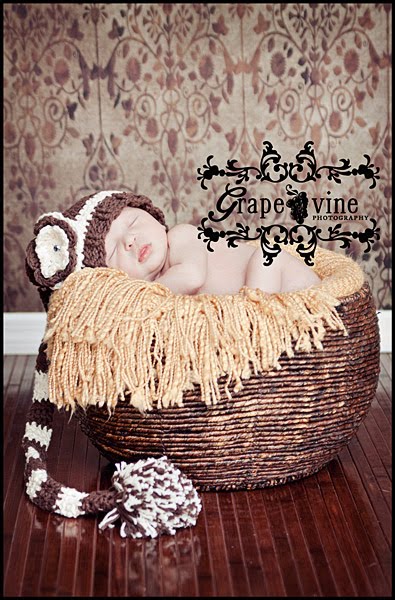 Newborn kissimmee florida baby photography