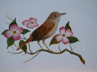 Wren on Dogwood Branch Session 3