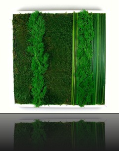 tableau_vegetal1