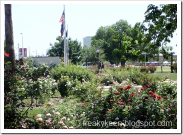 MCC Rose Garden 23