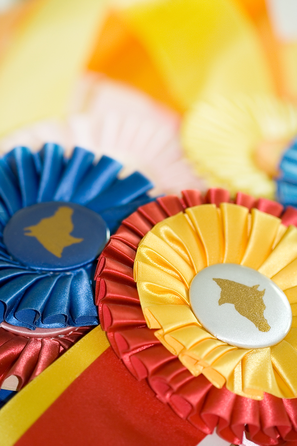 The Polohouse: Vintage Horse Show Ribbons