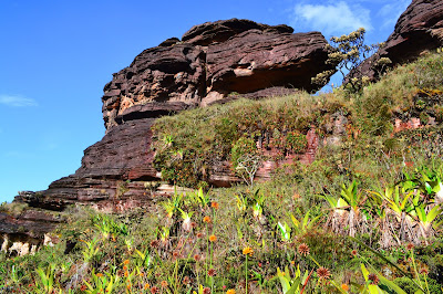 Formaciones rocosas cima Roraima